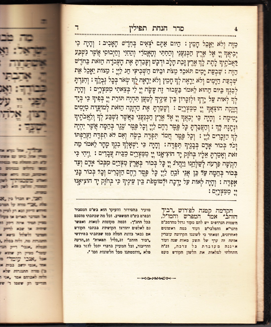 000 Shapotsnick_0008