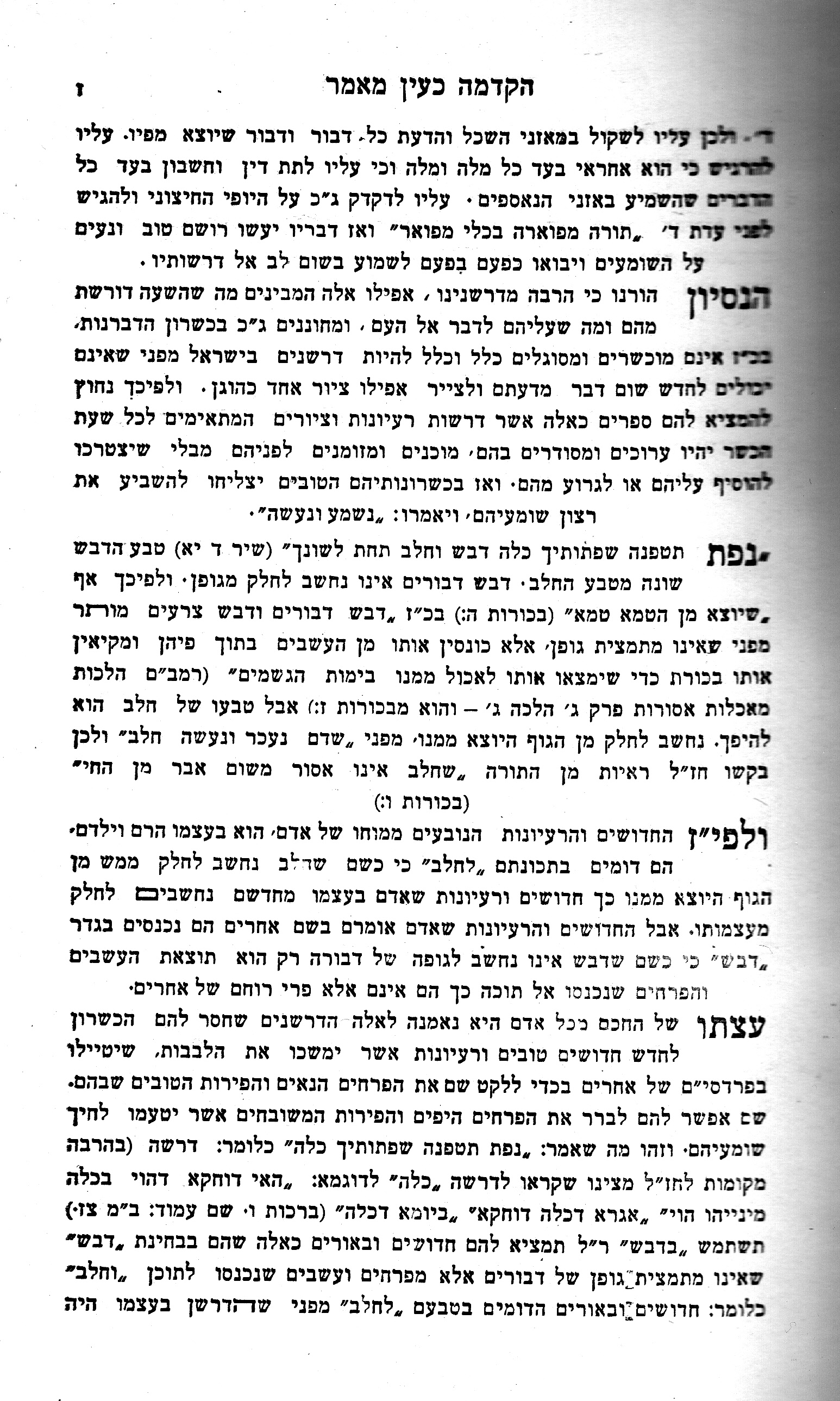 7e Shofar Yoffey_0007