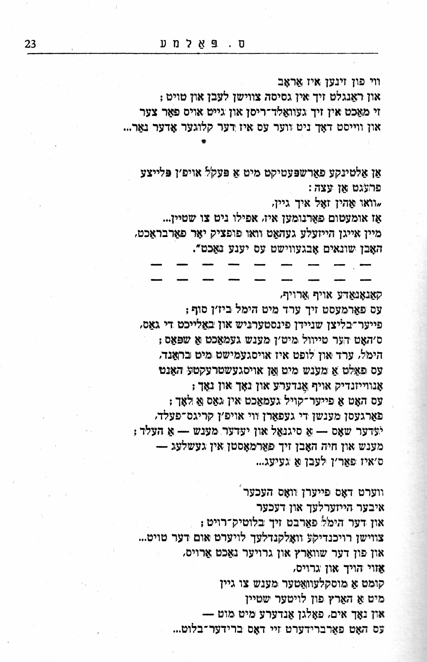 6k Palme Scorched_0007