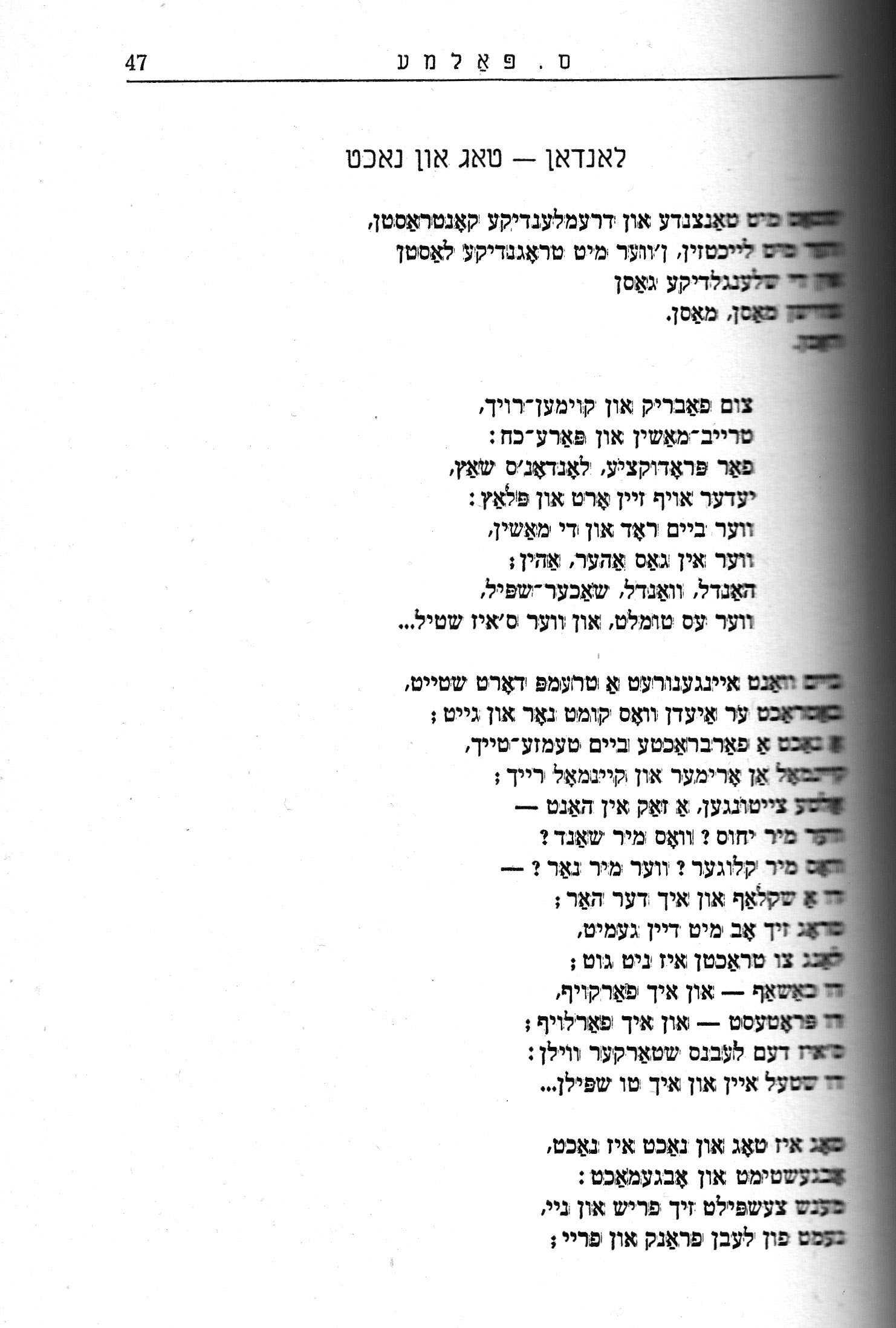 6k Palme Scorched_0012