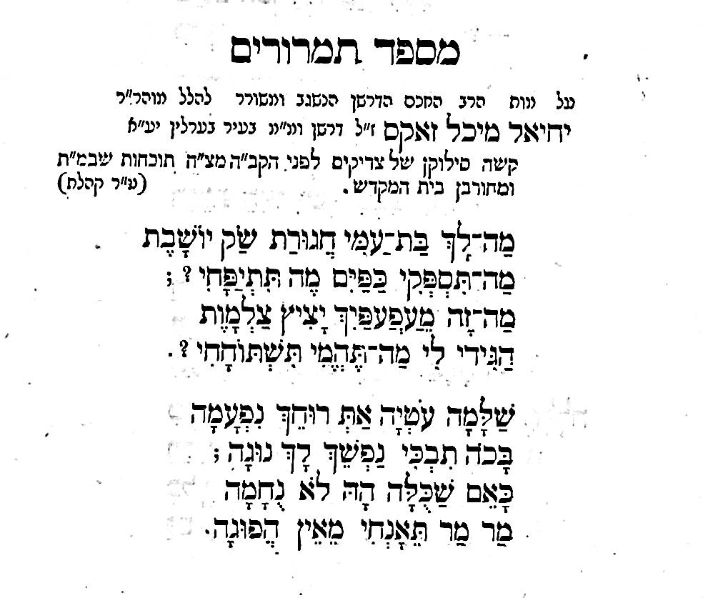 kohnzedek14
