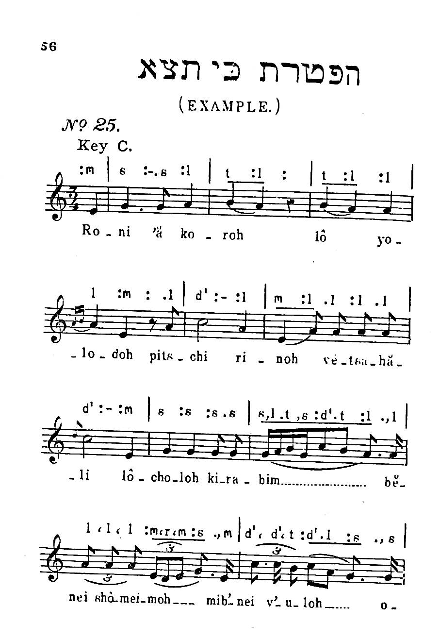 PerlzweigManual17